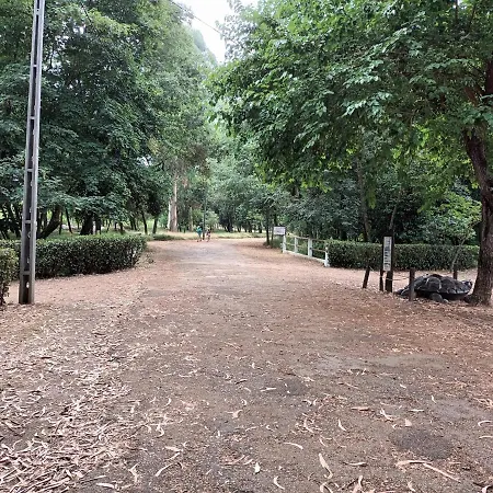 Familiahorta Apartamento *