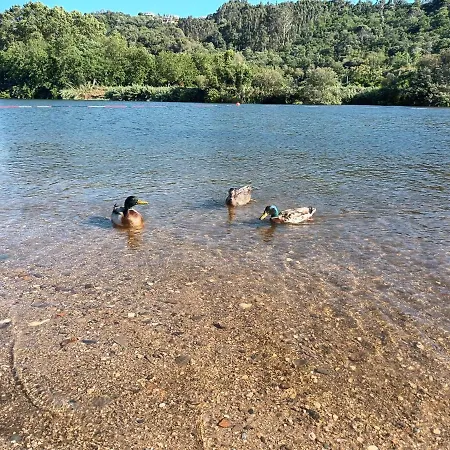 Familiahorta * Coïmbre